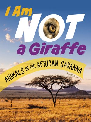 cover image of I Am Not a Giraffe